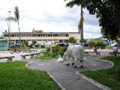  Prefeitura Municipal de Itapetinga